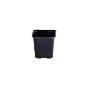 Square pot 8 cm